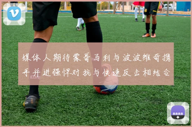 媒体人期待蒙哥马利与波波维奇携手并进强悍对抗与快速反击相结合