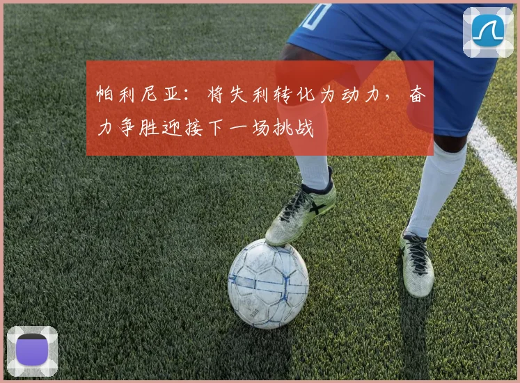 帕利尼亚：将失利转化为动力，奋力争胜迎接下一场挑战